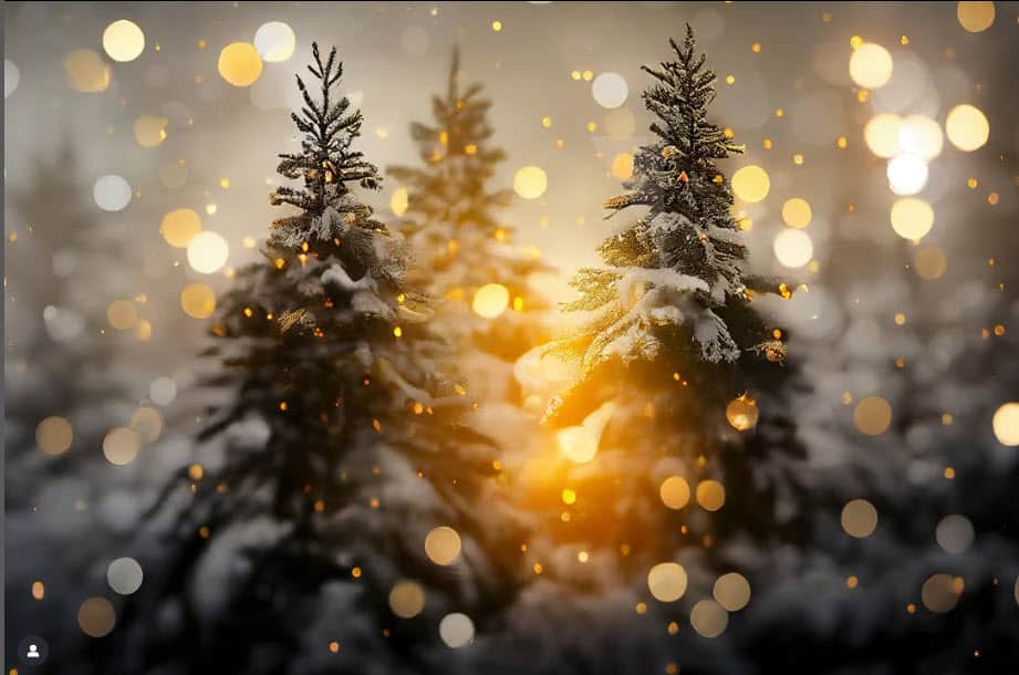 lights in trees