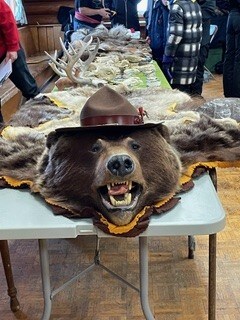 bearskin